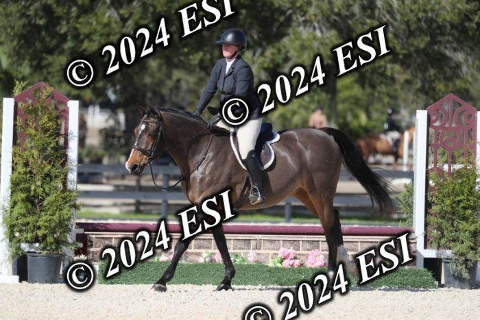 017RWCL1180