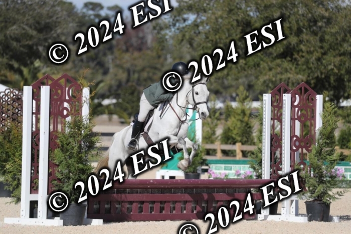 017RWCL1192