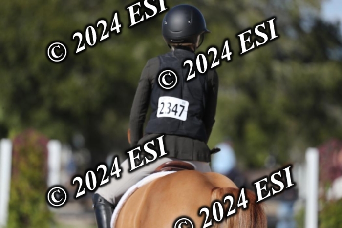 017RWCL1201