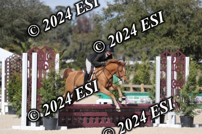 017RWCL1202