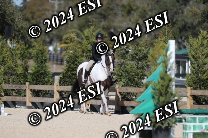 017RWCL1204