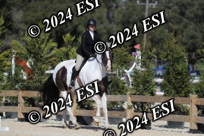 017RWCL1205