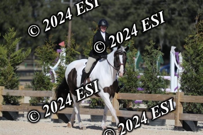 017RWCL1206