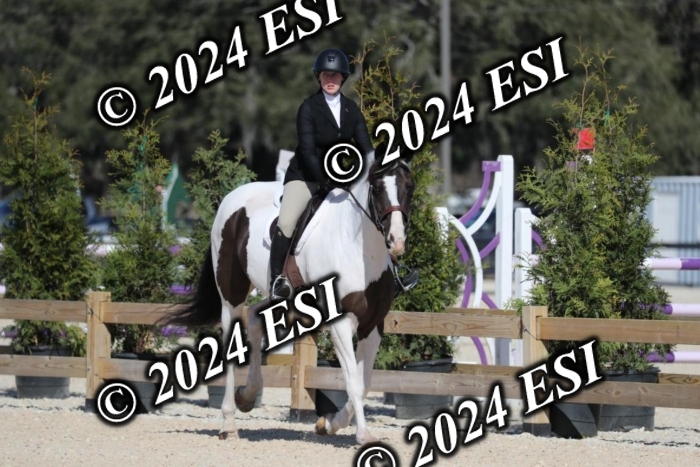 017RWCL1207
