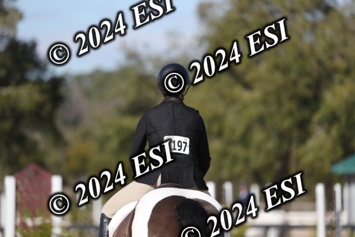 017RWCL1209