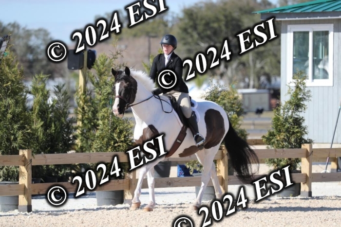 017RWCL1220