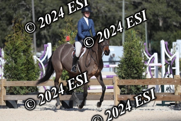 017RWCL1229