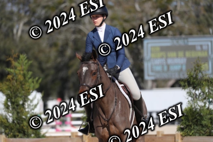 017RWCL1230