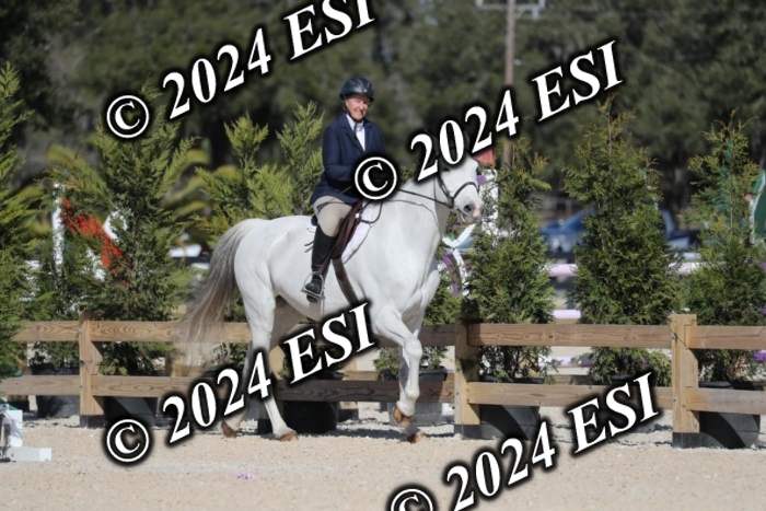 017RWCL1234