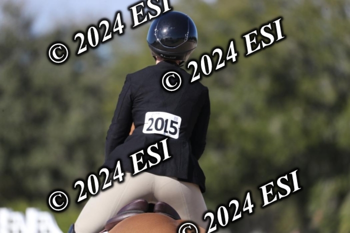 017RWCL1247
