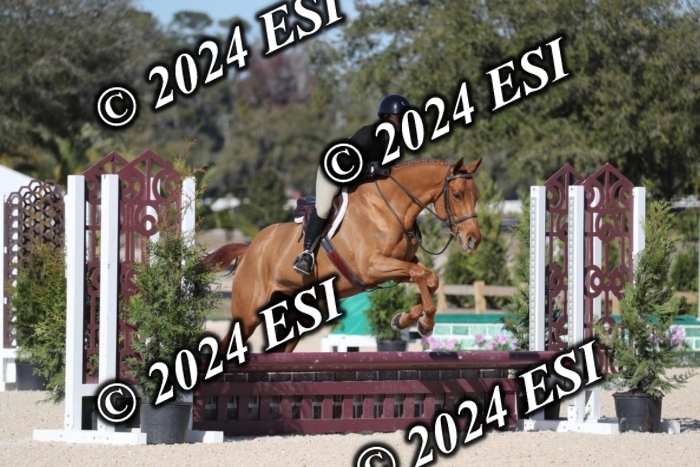 017RWCL1248