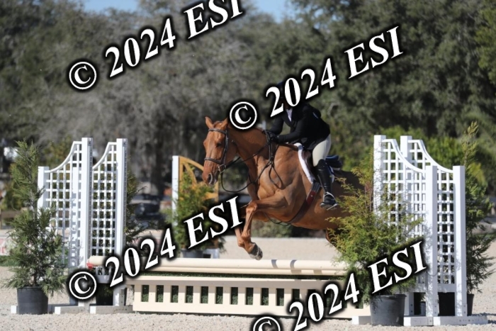 017RWCL1249