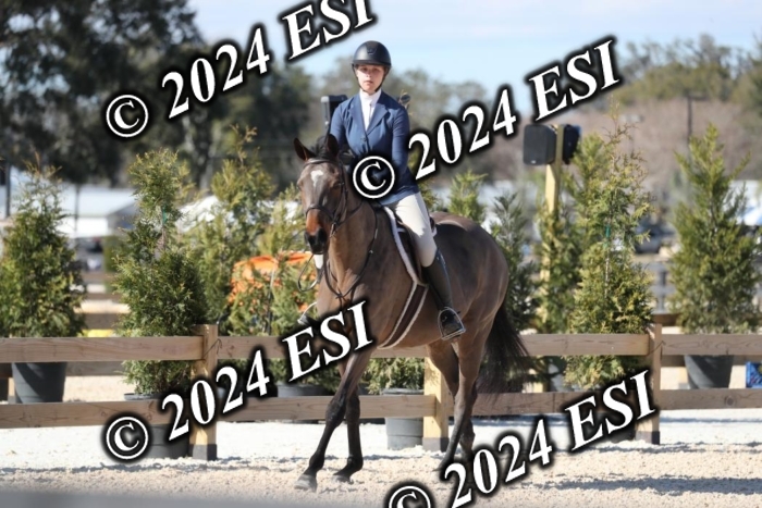 017RWCL1252