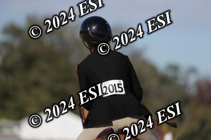 017RWCL1268