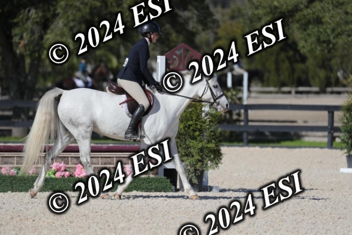 017RWCL1271
