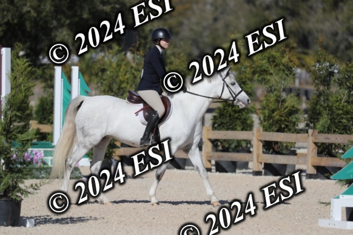 017RWCL1272