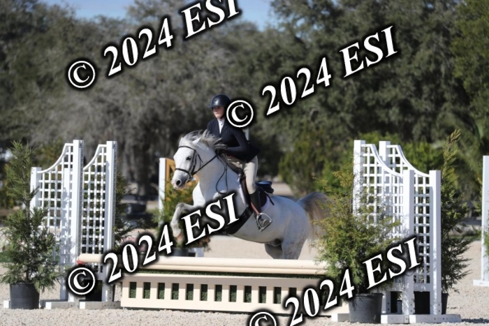 017RWCL1277
