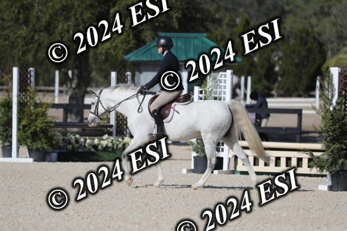 017RWCL1279
