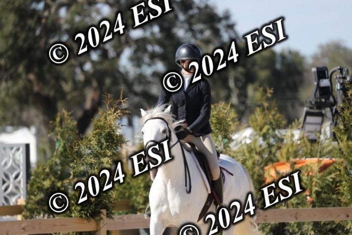 017RWCL1282