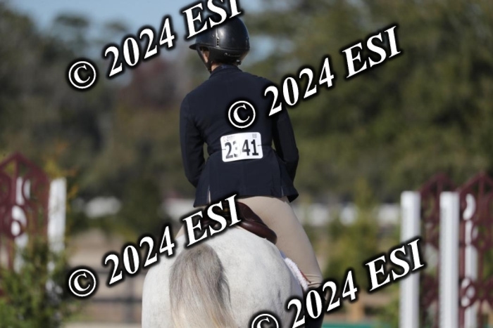 017RWCL1283