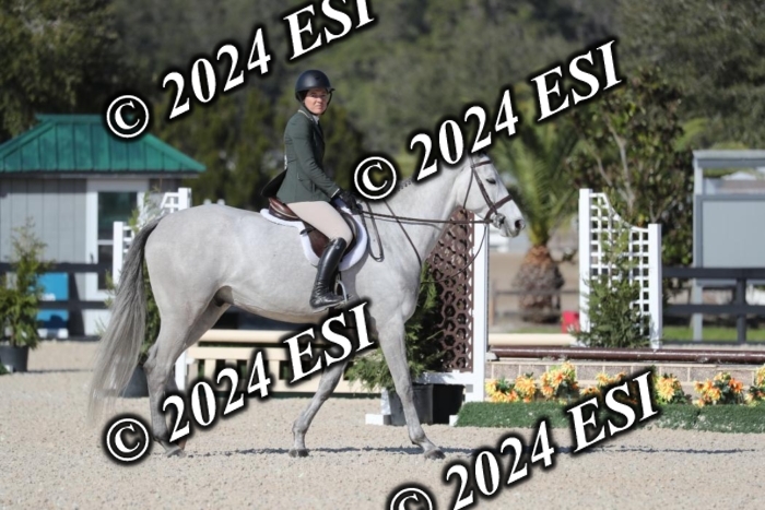 017RWCL1287