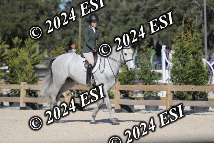 017RWCL1289