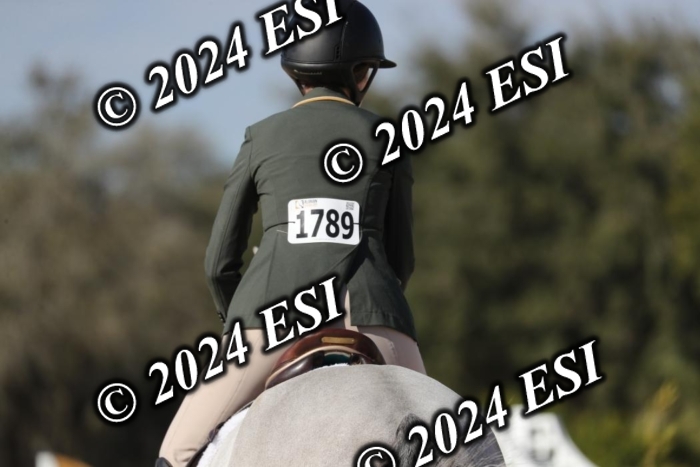 017RWCL1293