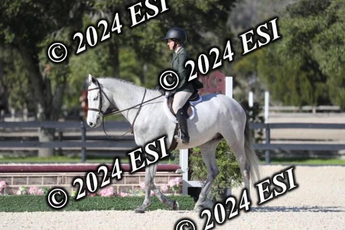 017RWCL1296