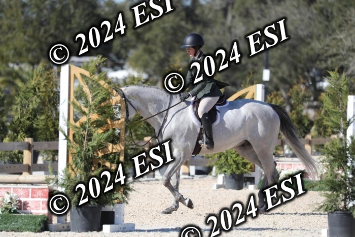 017RWCL1297
