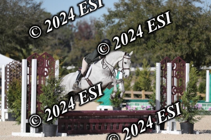 017RWCL1301