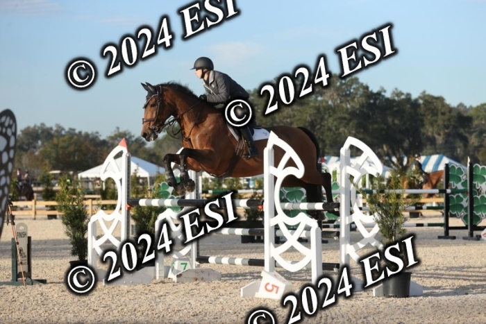 273GAB15419