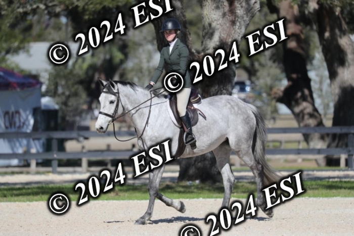 570RWCL1620
