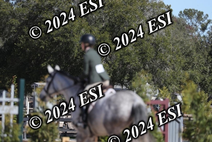 570RWCL1622