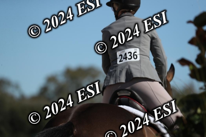 570RWCL1641