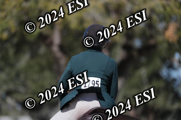 385RWCL1659