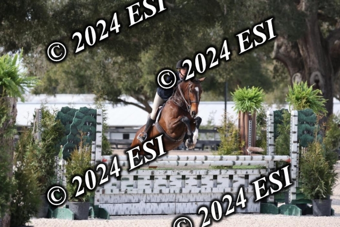 3730H8A5991