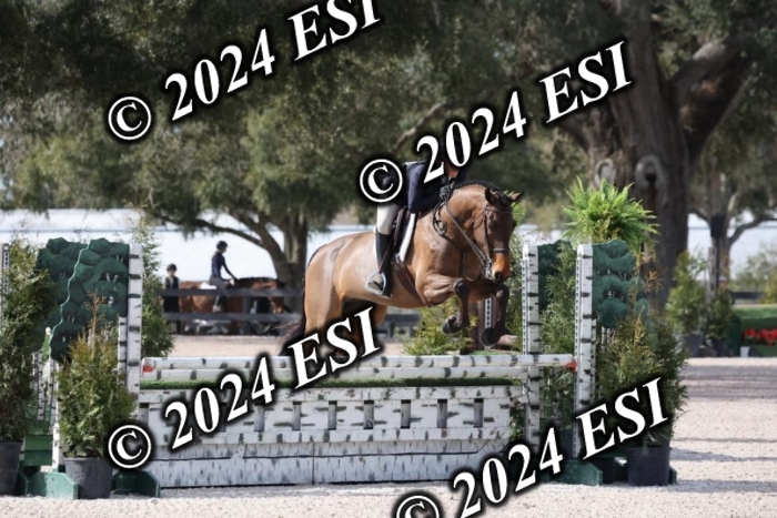 1450H8A6054