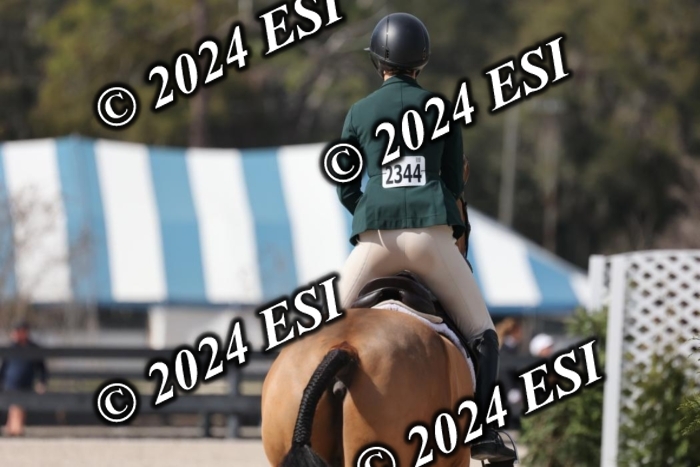 1450H8A6059