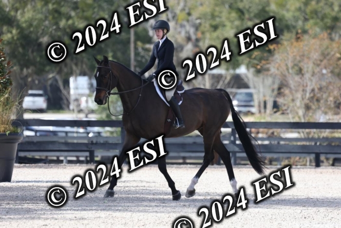 1450H8A6142