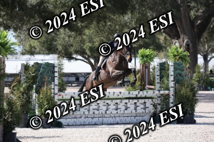 1450H8A6155