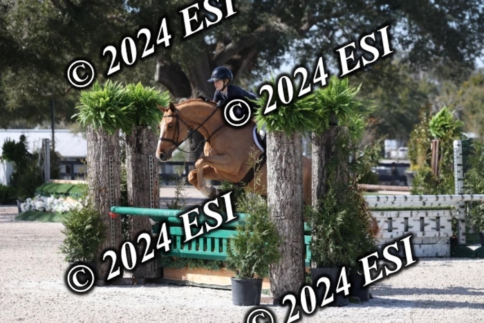 1450H8A6189