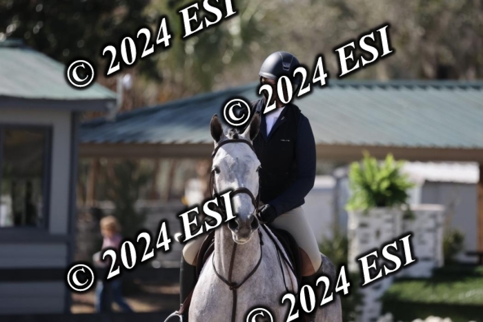 1450H8A6207