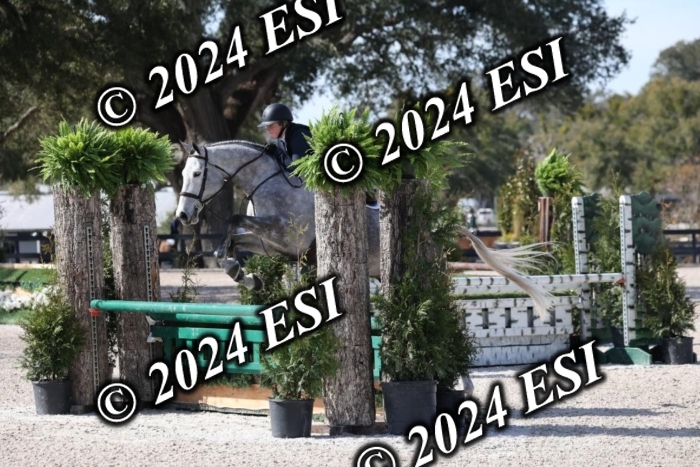 1450H8A6209