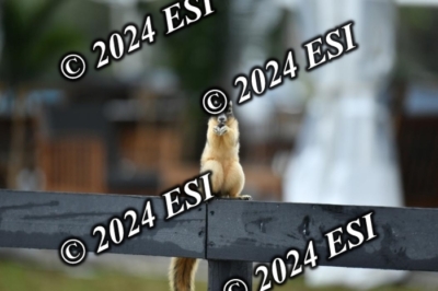 097KK5_8334