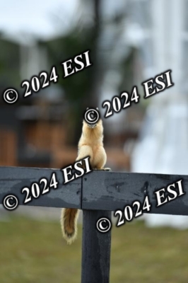 097KK5_8335