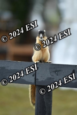 097KK5_8338