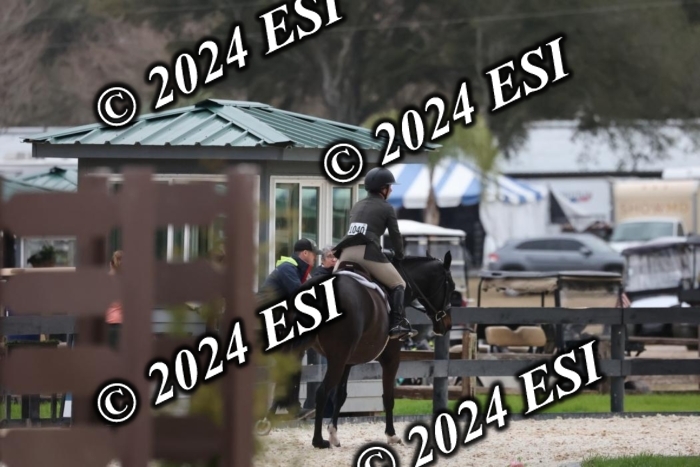 1070H8A6957
