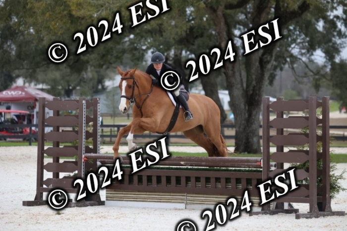 1070H8A6968