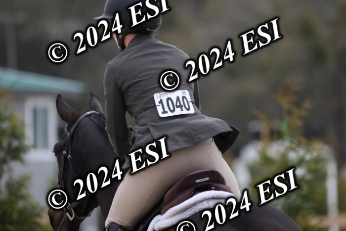 1070H8A6973