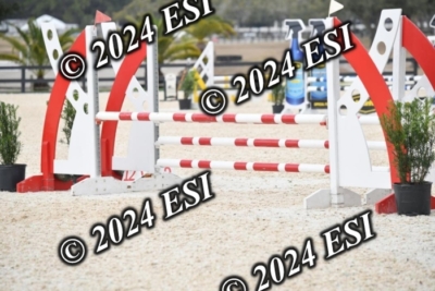 251DAV_2708